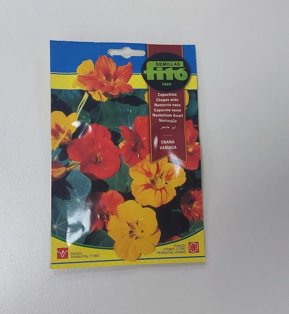 Nasturtium Dwarf Mixed