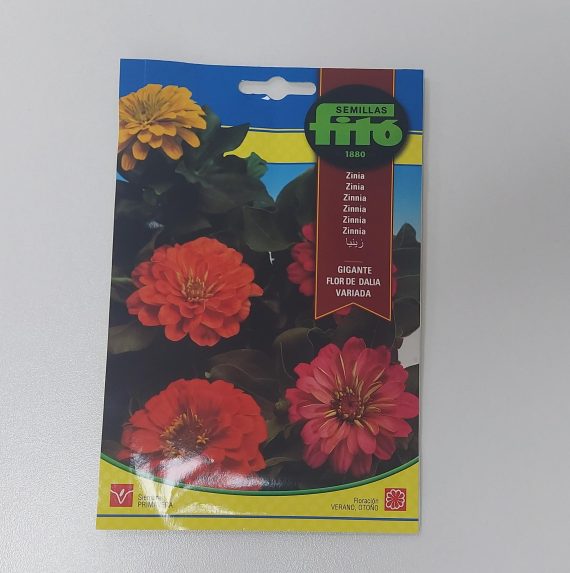 Zinnia Dalia Flowered mix